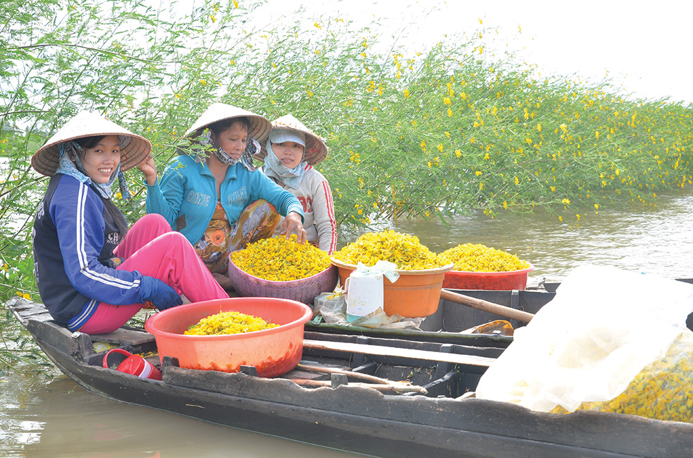 Nơi hồn quê còn đọng lại